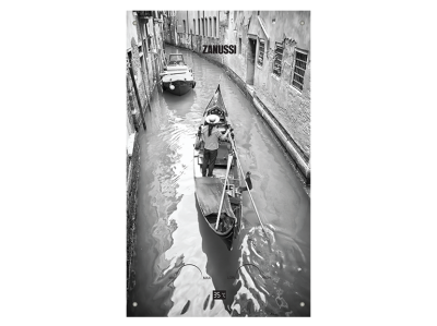 Газовая колонка Zanussi GWH 10 Fonte Glass Venezia фото | shop-crystal.ru